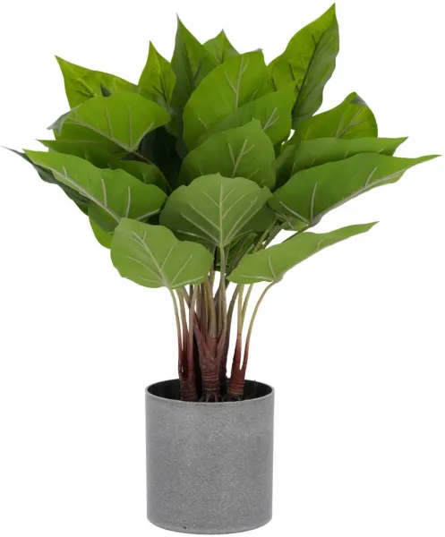 Anthurium, Konstgjord växt, grön/grå, K50x40x40 cm