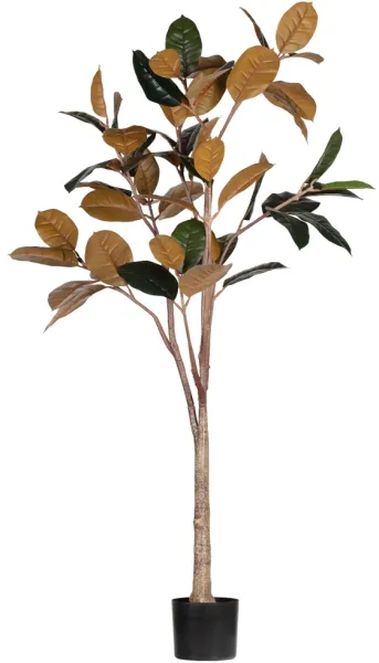 Gummiträd, konstgjord växt, grön, H170x106x63 cm